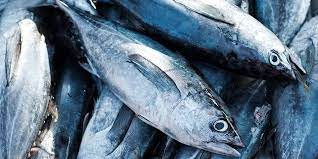 Udang merupakan makanan laut yang memiliki kolesterol paling tinggi. Salmon Hingga Tuna Ini Ikan Yang Boleh Dimakan Penderita Asam Urat