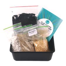 What are the effects of mescaline? San Pedro Mescaline Cactus Grow Kit Order Magicmushroomsshop