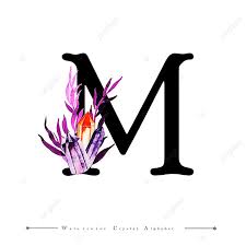 Over 23,916 letter m pictures to choose from, with no signup needed. Letter M With Watercolor Crystal And Leaves Background M Clipart Watercolor Color Png And Vector With Transparent Background For Free Download