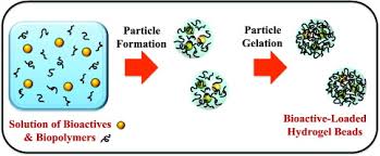 To enclose in or as if in a capsule a pilot encapsulated in the cockpit. Designing Biopolymer Microgels To Encapsulate Protect And Deliver Bioactive Components Physicochemical Aspects Sciencedirect