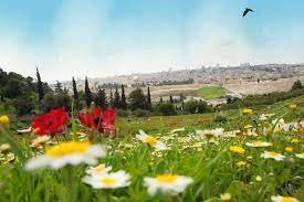 ربيع القدس
