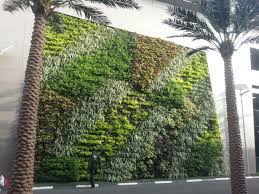 Kuwait Green Wall Design Vertical Garden Designs Living Wall Design Green Oasis Co Tel 0096 Vertical Garden Vertical Garden Design Green Wall Design