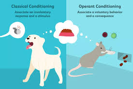 How To Get Users Hooked On Your Interfaces Operant Conditioning Classical Conditioning Psychology Observational Learning