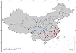 Image result for Oreophyton falcatum