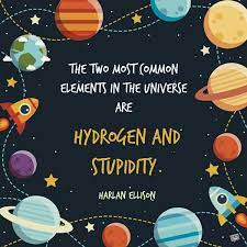 Stupidity is like a giant car heading towards a brick wall and everyone's arguing over where they're going to sit. the difference between genius and the funny saying about the stupid people and stupidity was so funny. 94 Quotes About Stupidity How To Protect Yourself From It