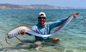 Apply privately to 130,000+ remote jobs and startup jobs near you with one application. Angler Revives Exotic Sea Creature In Rare Encounter