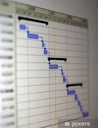 Gantt Chart Wall Mural Vinyl