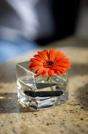 $ sending beautiful flower arrangements for any occasion. 33 Extravagant Floral Arrangements For Your Dining Table Home Stratosphere