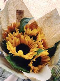 Pinterest Skylarmckellar Insta Sky Mckellar I Always Follow Back Flower Aesthetic Beautiful Flowers Paper Sunflowers