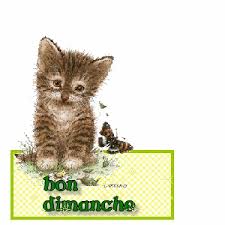 Résultat de recherche d'images pour "des chats bon dimanche"