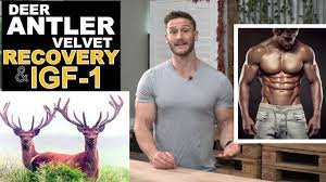 Does Deer Antler Velvet Speed Recovery Igf 1 And Human Growth Hormone Thomas Delauer Youtube