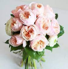 Cream roses are the height of elegance and indicative of thoughtfulness, friendship, and charm. Garden Roses Wedding Bouquet