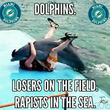 Miami Dolphins Meme Dolphin Memes Nfl Jokes Miami Dolphins