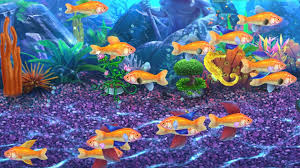 Everything you need to know about Breeding in Fish Tycoon 2 | Gamers