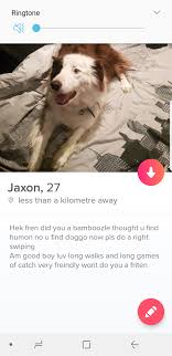 I got a notification that said 2543 guys liked you or. Little Dog Tinder What Should I Put In My Tinder Bio Reddit Glrcusa Com