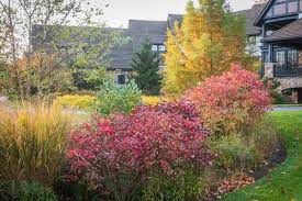 Simply put, a rain garden is a sunken planting bed. The Do It Yourself Rain Garden The New York Times