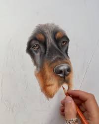 Kopek Cizimi Video Art Drawings Sketches Simple Animal Paintings Dog Pencil Drawing