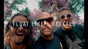Float Like a Buffalo