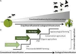We have applications for qualified applicator licenses, qualified applicator certificates, and pest control advisors at our office. Transformation Of Agricultural Landscapes In The Anthropocene Nature S Contributions To People Agriculture And Food Security Sciencedirect