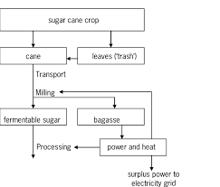 flow chart for production of fermentable sugar from sugar