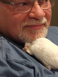 The birds are circling over town. Its feeling Alfred Hitchcock-like out  here. Stay safe, people!