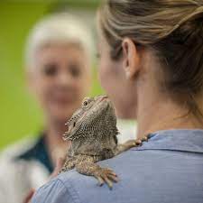 Exotic vet near me will be a common question for pet parents. Exotic Pet Veterinarians In Michigan