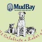 jakemau_fit Instagram Influencer Profile