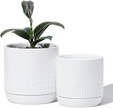 Drainage holes help the root system of a houseplant stay properly hydrated with a lower risk of root rot. Potey Plant Pots With Drainage Holes Saucer Glazed Ceramic Modern Planters Indoor Bonsai Container For Plants Flower Aloe Set Of 2 5 1 4 2 Inch Shiny White Plants Not Included Amazon Co Uk