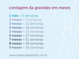 17 Semanas E A Contagem Dos Meses Potencial Gestante