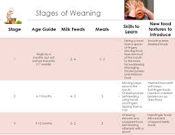 curious nine month baby food chart in hindi baby food chart