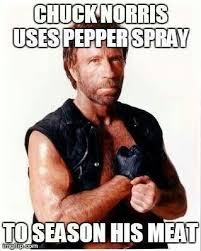 A Little Damsel Humor Get Your Pepper Spray At Www Mydamselpro Net Nicolemiller Chuck Norris Facts Chuck Norris Funny Chuck Norris Memes
