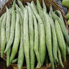 Maybe you would like to learn more about one of these? Snake Gourd Wholesale Price Mandi Rate For Snake Gourd In India