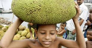 Check spelling or type a new query. How The Vegan Trend In The West Is Boosting Kerala S Jackfruit Exports