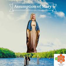 Some hold that she died a natural death and that her body was later taken up to heaven. Did Mother Mary Die Or Did She Ascend To Heaven Alive Blog