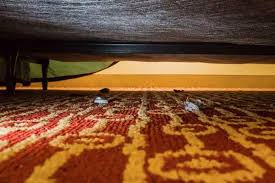 Underneath The Bed Picture Of Hometowne Studios Suites Columbia By Redroof Tripadvisor