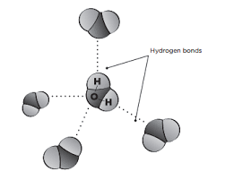 As each drop is made up by 3 atoms, the total number of atoms= 16.86×3×10^20 ~ 50.58×10^20 atoms therefore 1 drop of water contains roughly 505,800,000,000,000,000,000,000 atoms. Drops On A Coin Science World