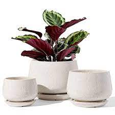 Maybe you would like to learn more about one of these? Buy Le Tauci Plant Pots With Drainage Holes And Saucers 4 1 5 1 6 5 Ceramic Pots For Plants Planters Indoor Plants Small To Large Sized Set Of 3 Reactive Glaze