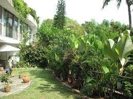 Let hgtv help you transform your home with pictures and inspiration for interior design, home decor, landscape design, remodeling and entertaining ideas. Small Tropical Home Garden Design Ideas Home Design Online Tropical Landscape Design Tropical Garden Design Garden Design