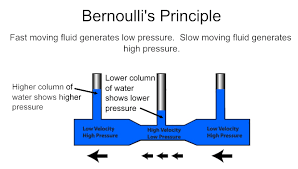 Image result for bernoulli's principle