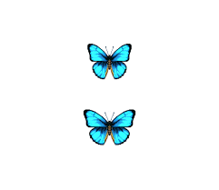 In spring, butterflies won't appear when it's raining; Mobile Animal Crossing Pocket Camp Emperor Butterfly The Models Resource