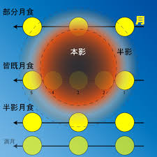 The site owner hides the web page description. å§«è·¯ç§'å­¦é¤¨ æœˆé£Ÿã‚'è¦‹ã‚ˆã†