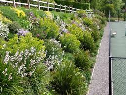 Garden Design By Cornwall Designer Based In Falmouth Tennis Court Landscaping 1 Sloped Garden Hillside Landscaping Backyard Landscaping