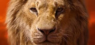 One of the most famous lion in africa. Lion King Safari Experiences For Families Jumbari Family Safaris