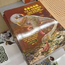Gurney Journey Color And Light Book Color Traditional Paintings Light Colors