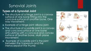 Check out our concave convex selection for the very best in unique or custom, handmade pieces from our shops. Joints Ppt Video Online Download