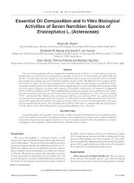 Image result for Eriocephalus luederitzianus