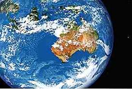 Bleaching doesn't mean the coral is dead as it can recover but severe bleaching gives it a higher chance of dying. 25 Interessante Great Barrier Reef Fakten Die Sie Horen Mochten De Flowerpetaler Net