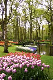 Greetings From Keukenhof Holland Pflanzen Garten Ideen Garten