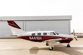 Image result for Piper