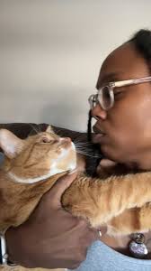 Cats and their independent behavior